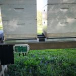 How Do You Use a Beehive Scale?